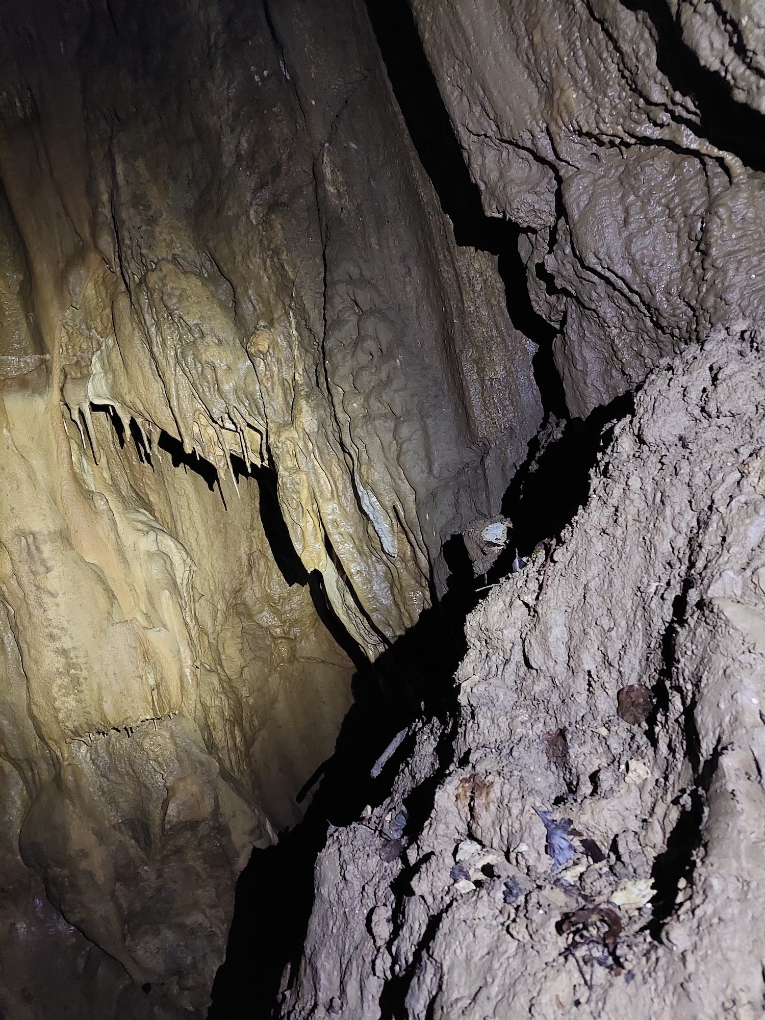 Avenul Mare de la Tunel - Image 4